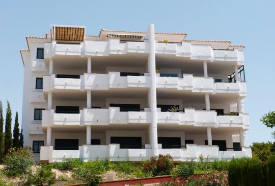 Appartement  - Nieuwbouw  - Orihuela Costa - Orihuela Costa