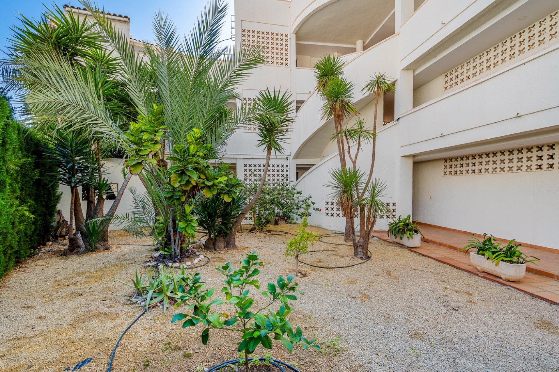 Herverkoop - Appartement  - Altea