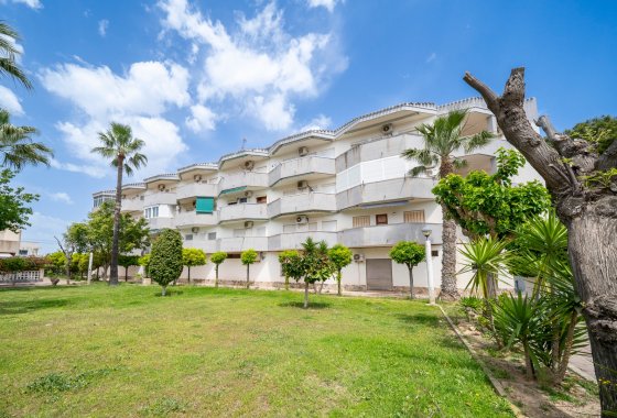 Квартира  - Перепродажа - Orihuela Costa - Orihuela Costa