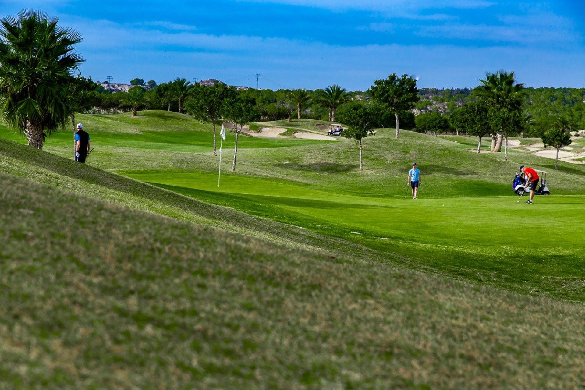 New Build - Apartman - Orihuela - Vistabella Golf