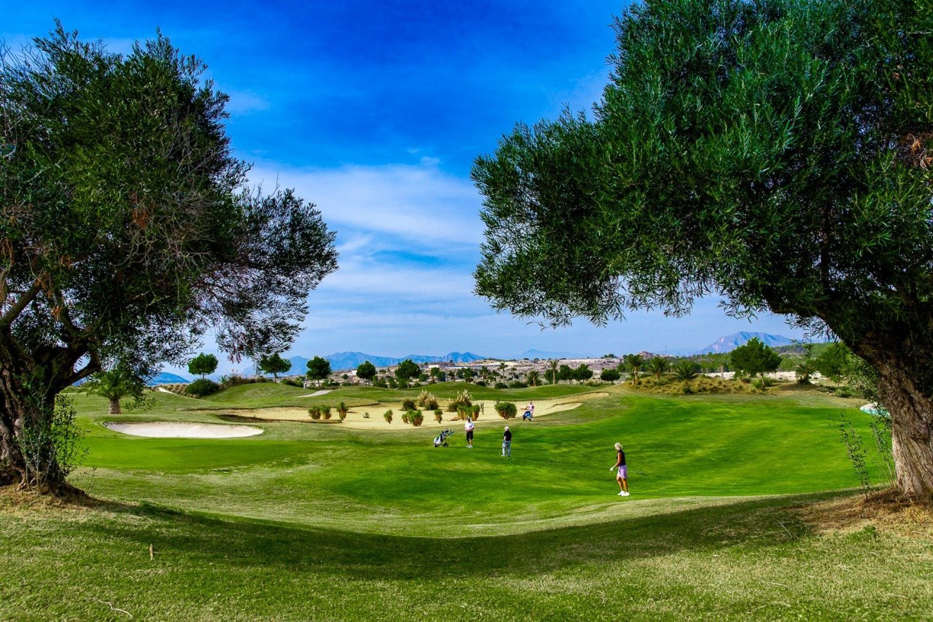 New Build - Apartman - Orihuela - Vistabella Golf