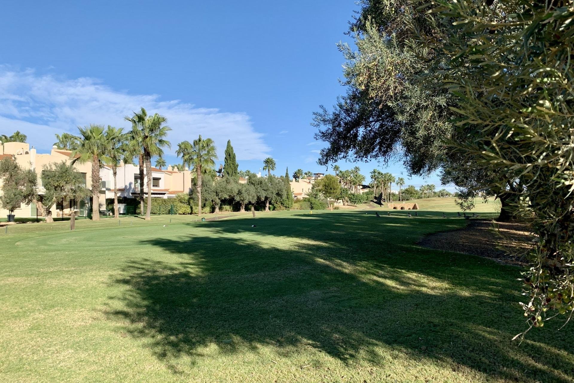 New Build - Apartman - San Javier - Roda Golf