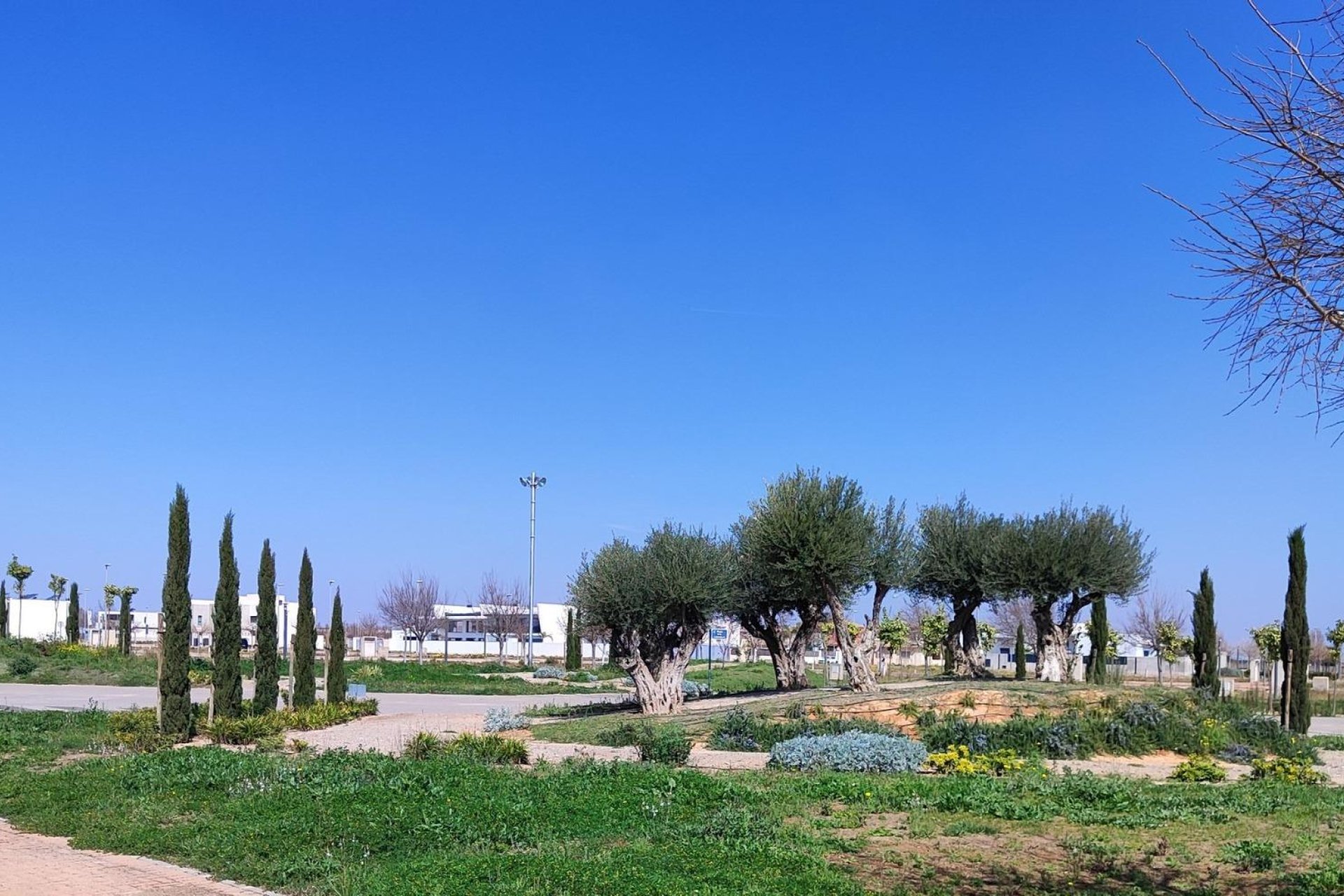 New Build - Apartman - Torre Pacheco
