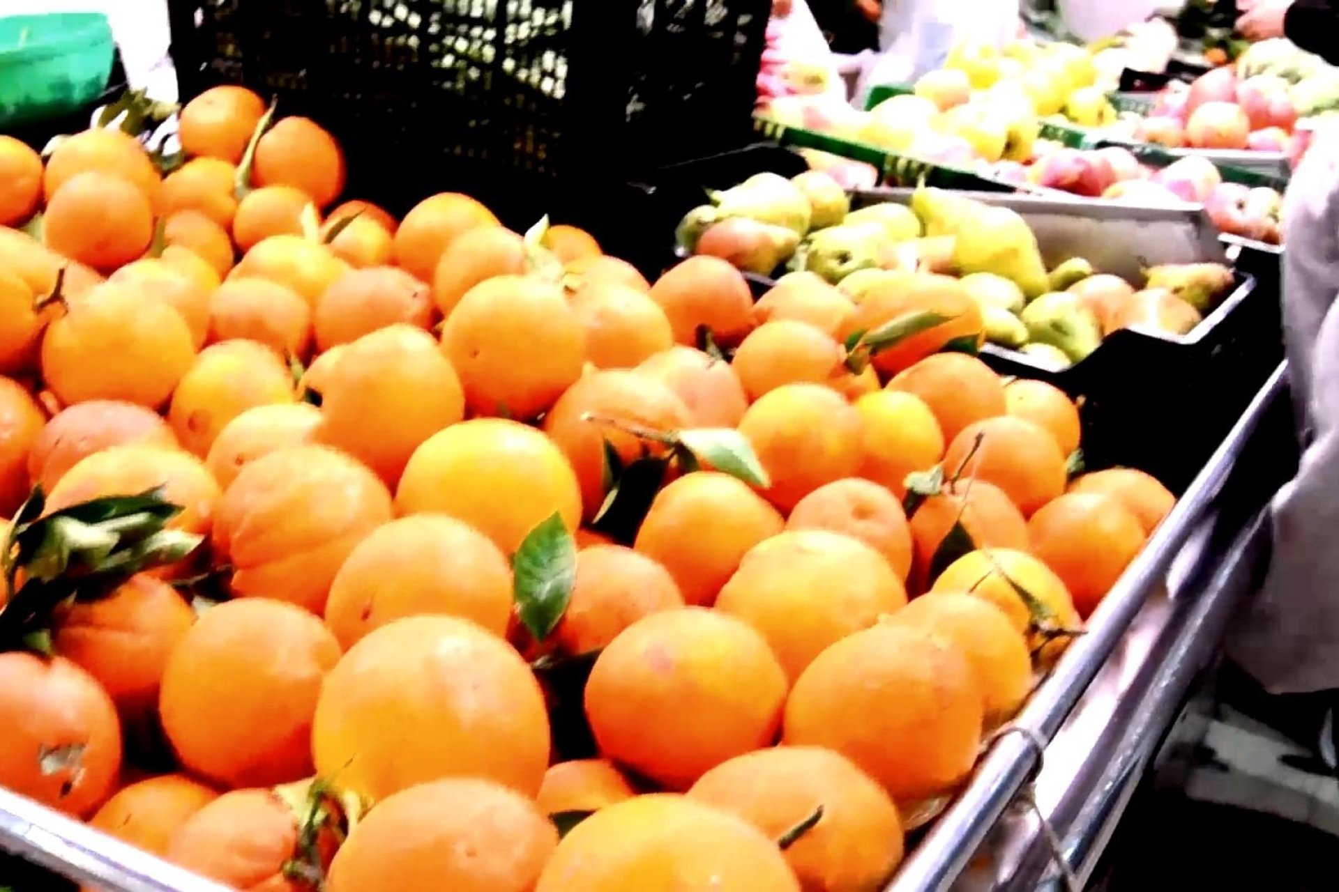 New Build - Apartman - Torrevieja