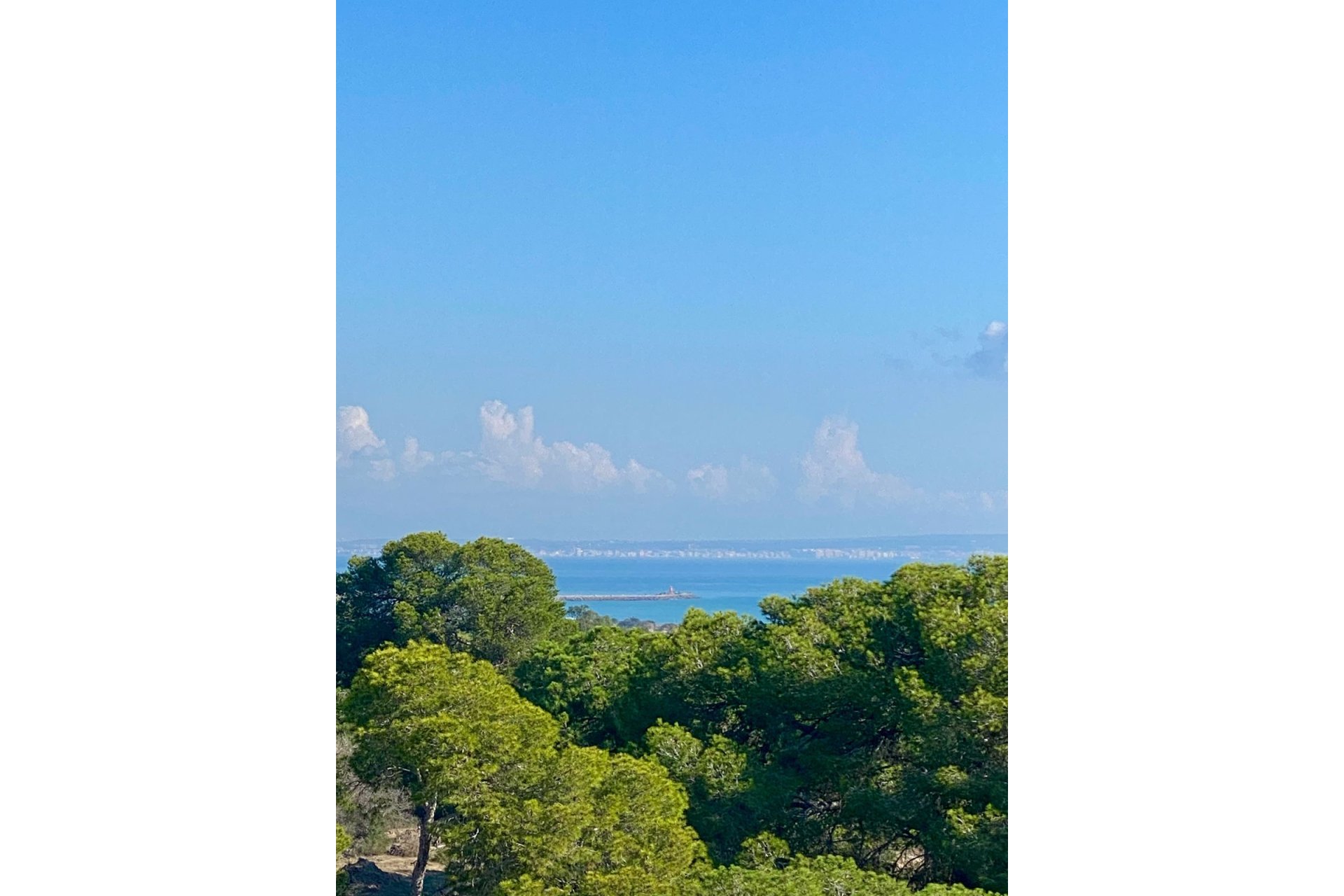 New Build - Apartment  - Guardamar del Segura