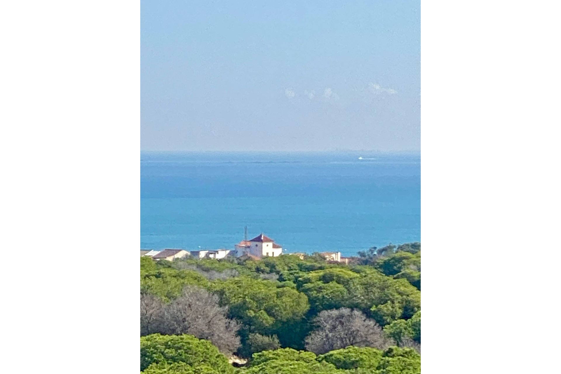 New Build - Apartment  - Guardamar del Segura
