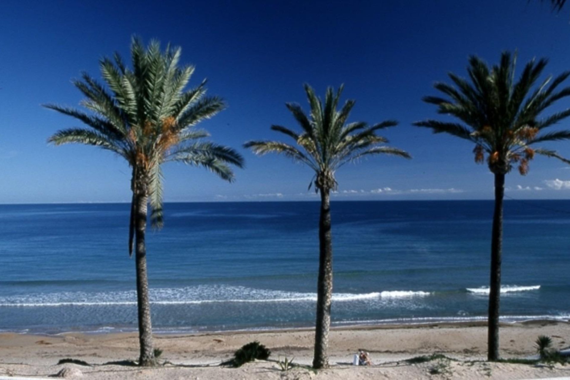 New Build - Apartment  - Pilar de la Horadada