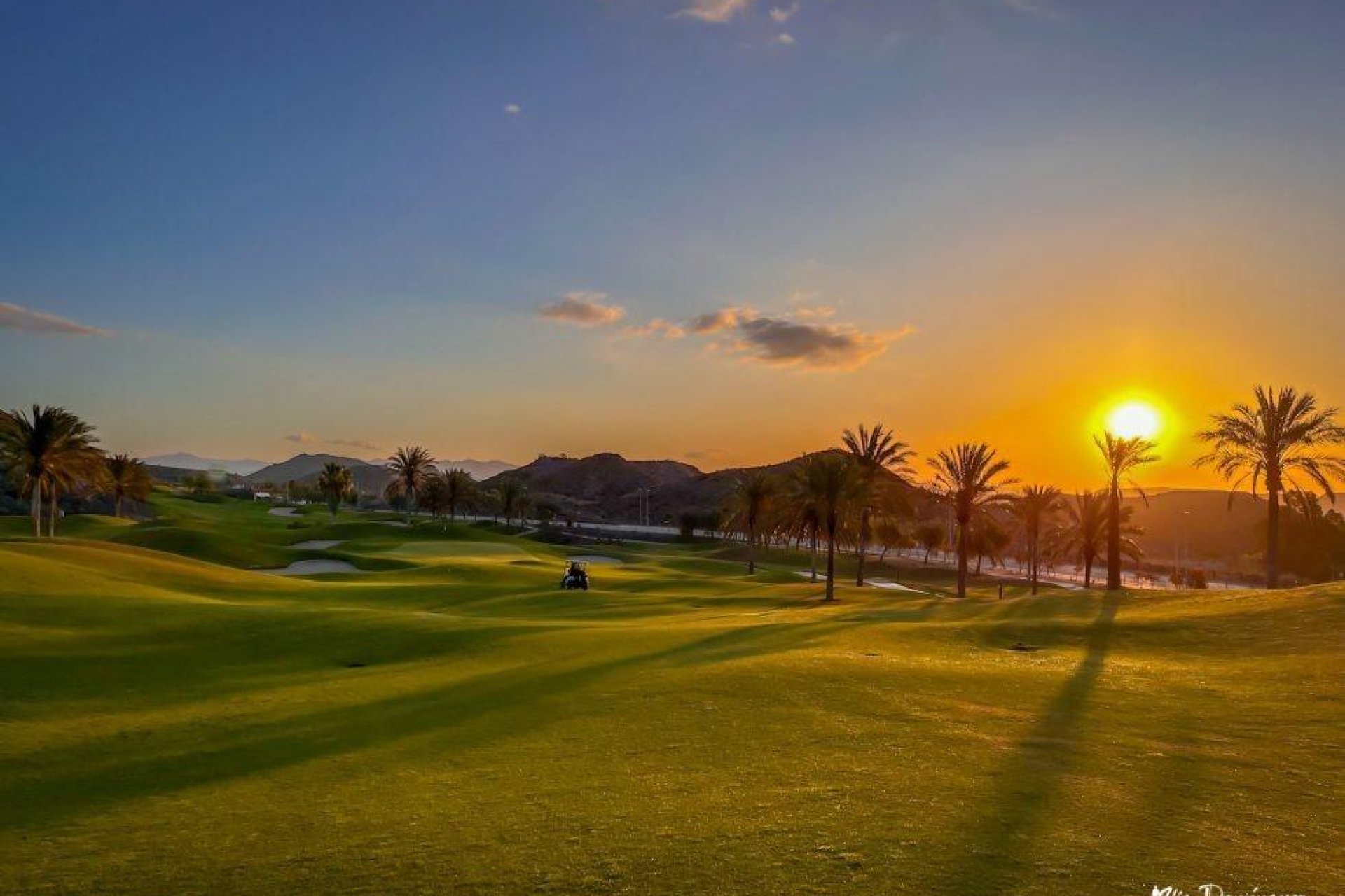 New Build - Apartment  - Pulpi