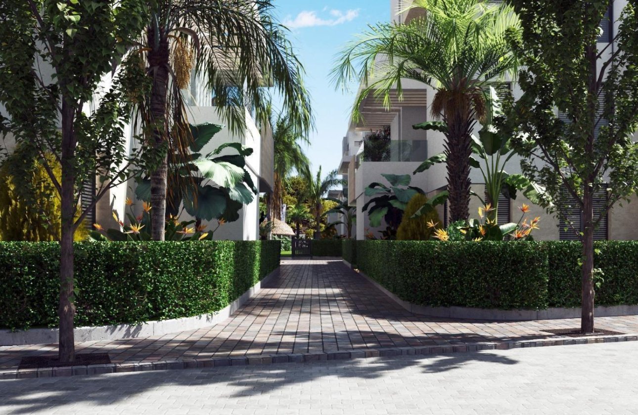 New Build - Apartment  - Torre Pacheco