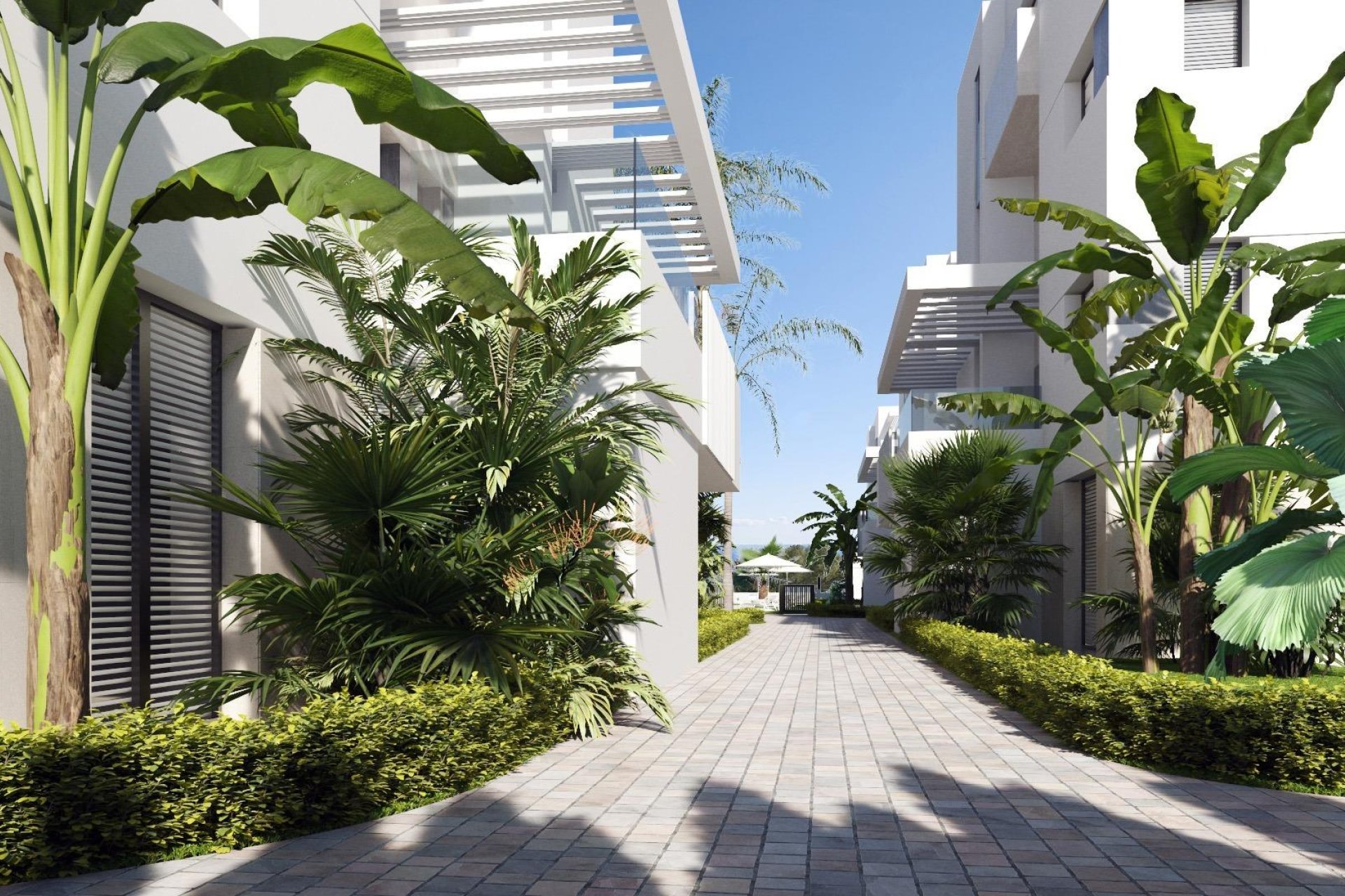 New Build - Apartment  - Torre Pacheco