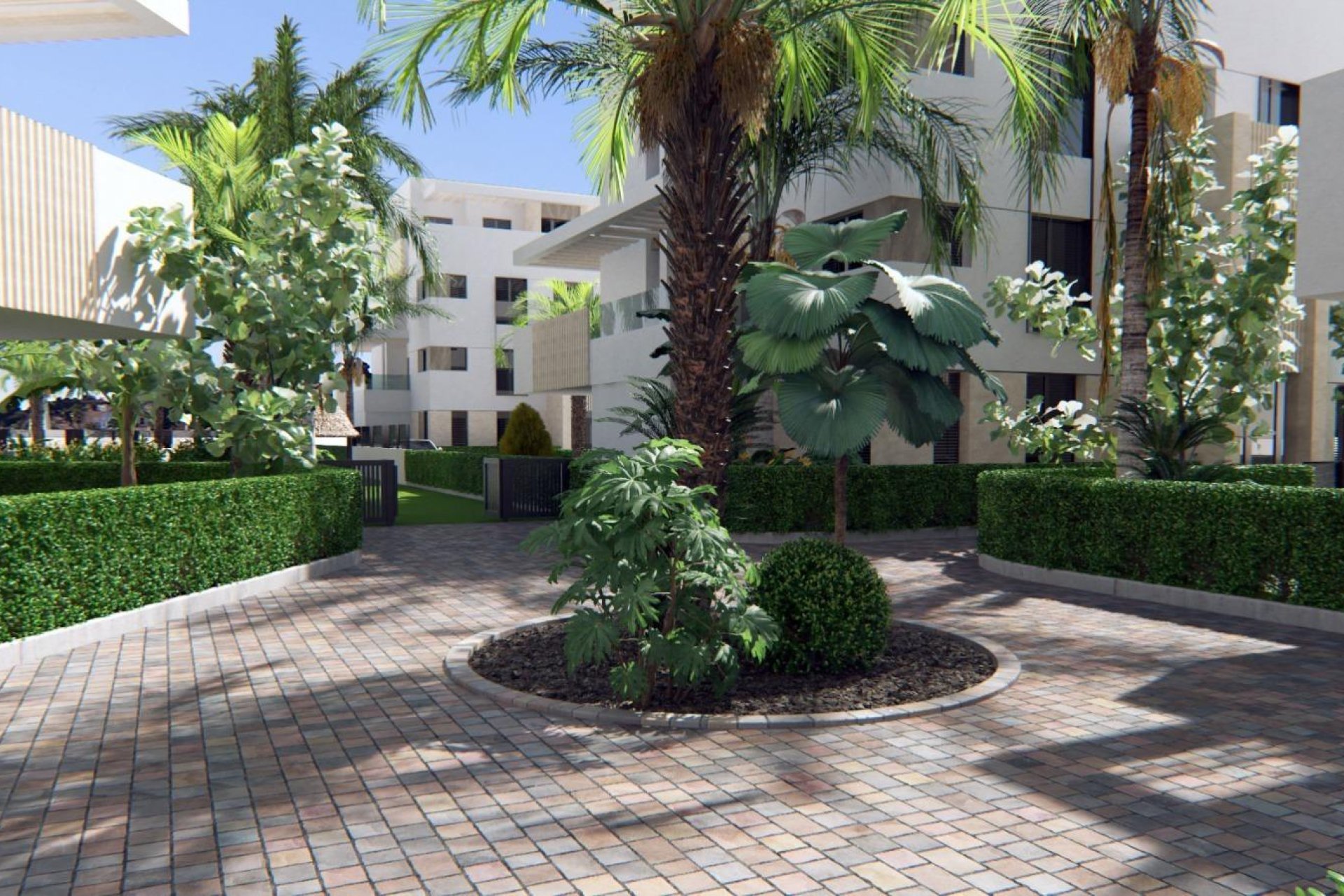 New Build - Apartment  - Torre Pacheco