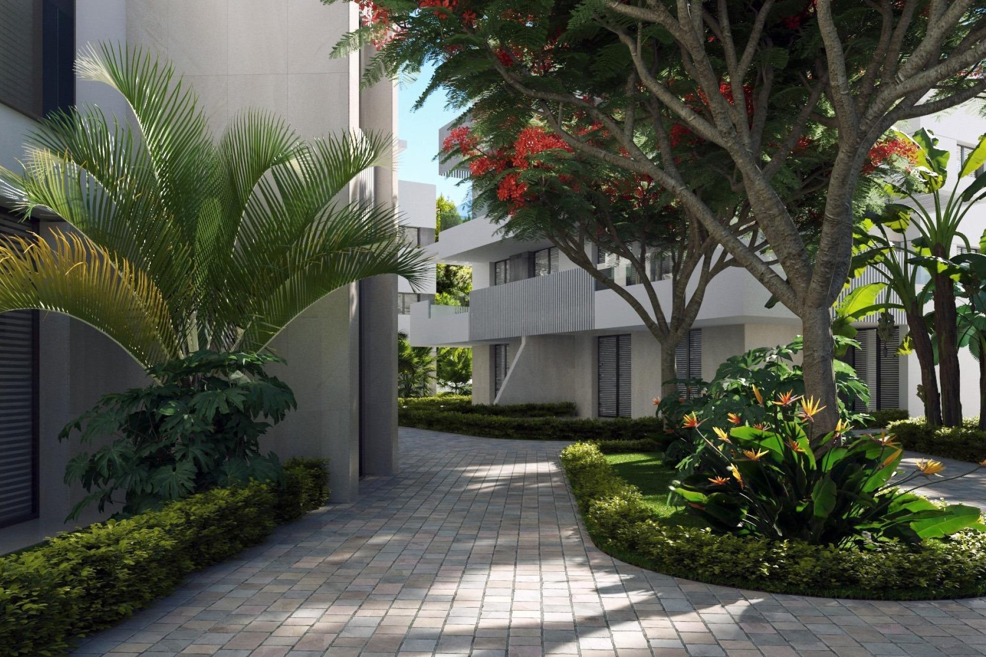 New Build - Apartment  - Torre Pacheco
