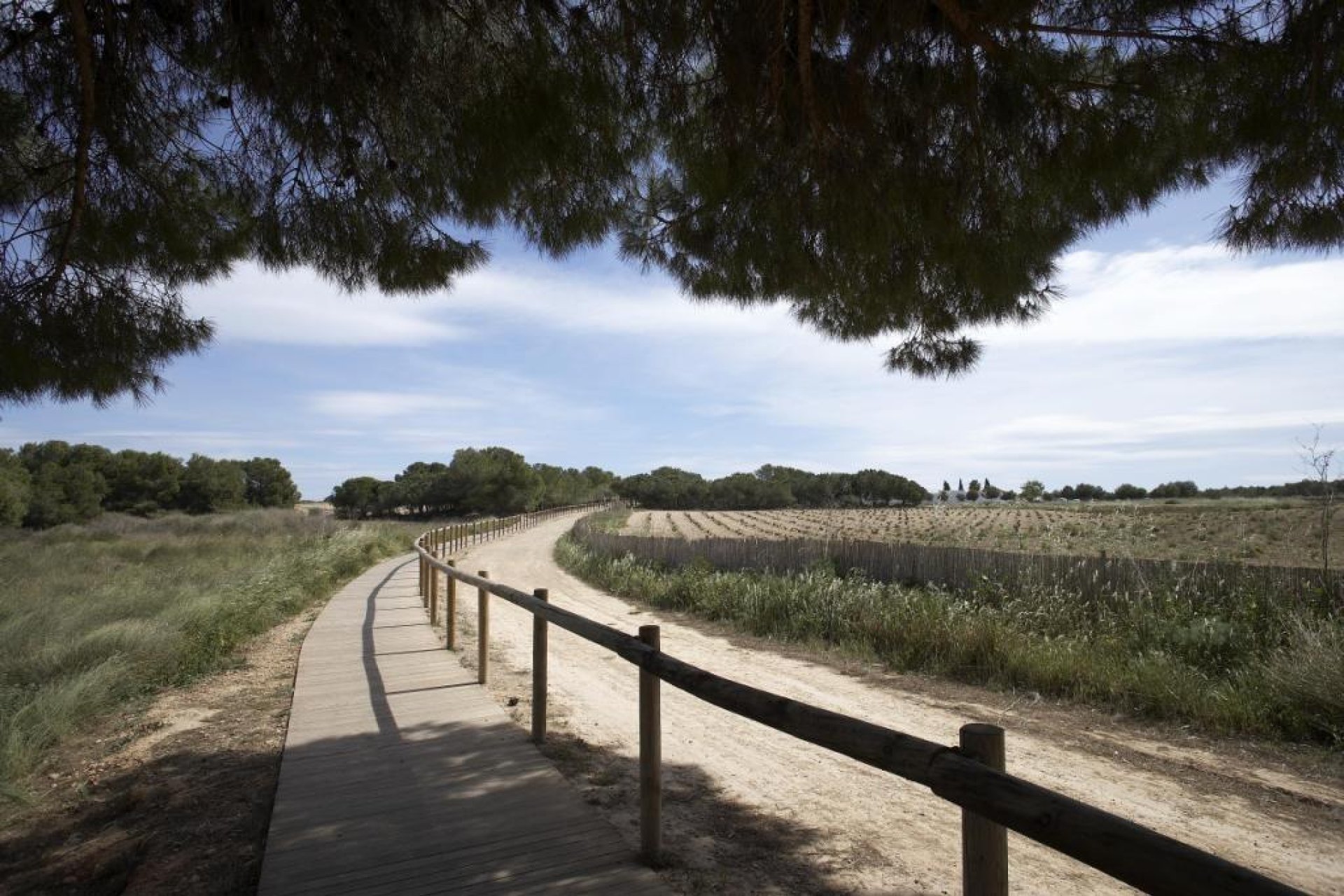 New Build - Apartment  - Torrevieja - Altos del Sol
