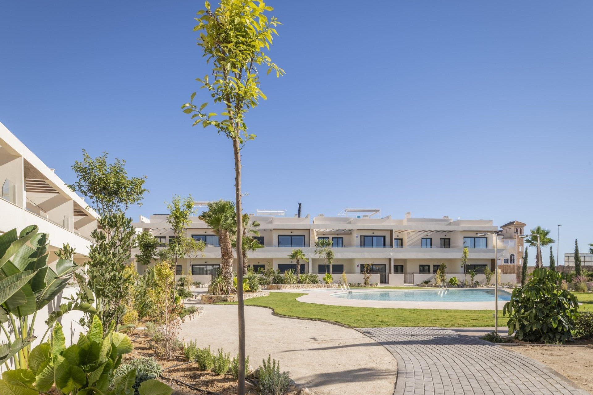 New Build - Apartment  - Torrevieja - Villa Amalia