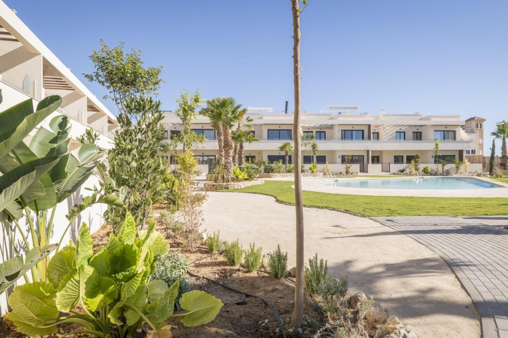 New Build - Apartment  - Torrevieja - Villa Amalia