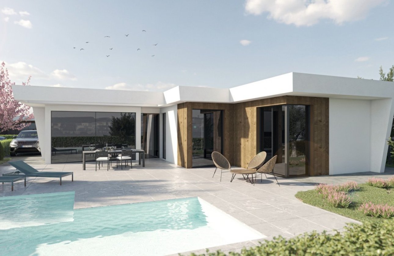 New Build - Villa - Baños y Mendigo