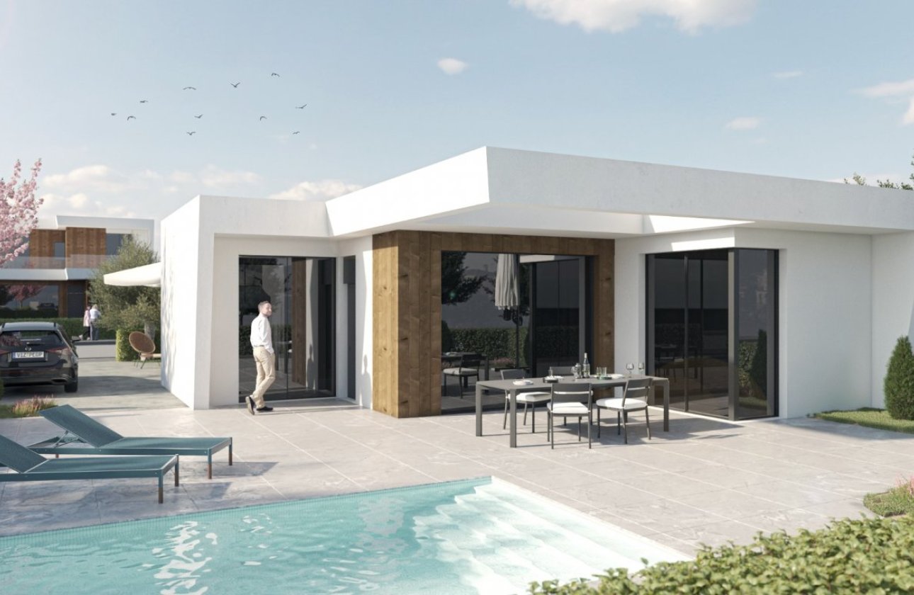 New Build - Villa - Baños y Mendigo