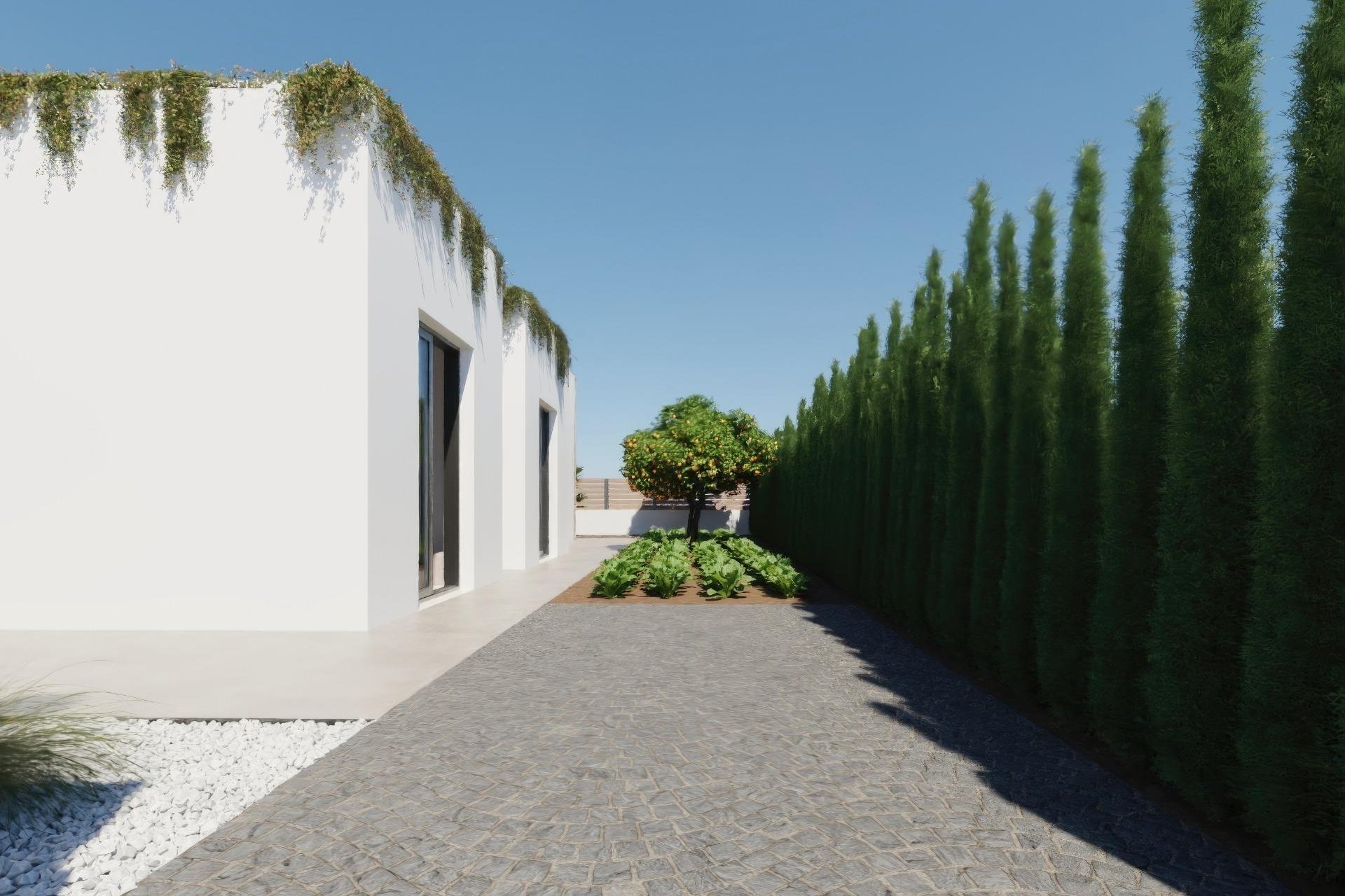 New Build - Villa - Fuente Álamo - Hacienda del Alamo
