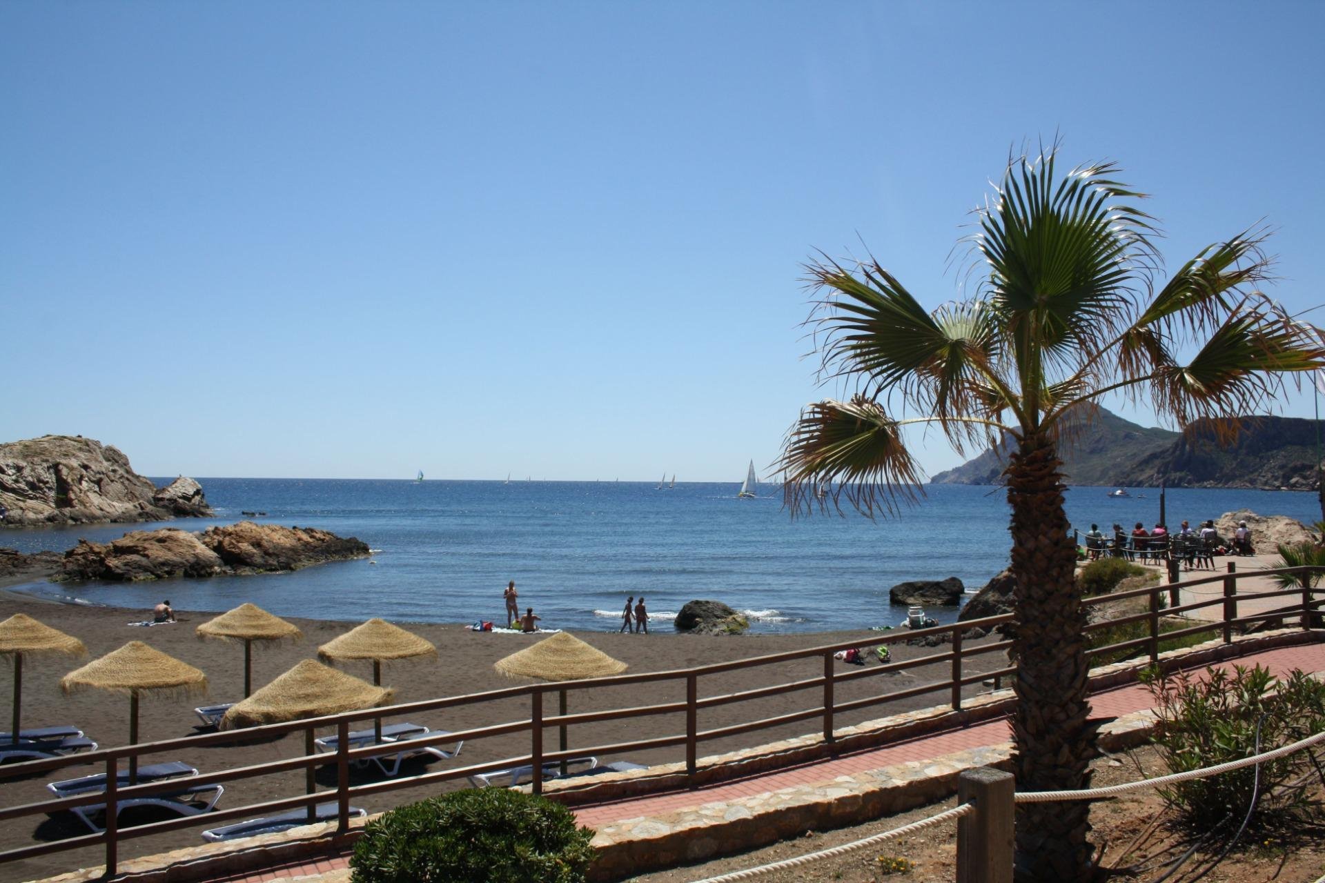 New Build - Villa / ikerházfél - La Union