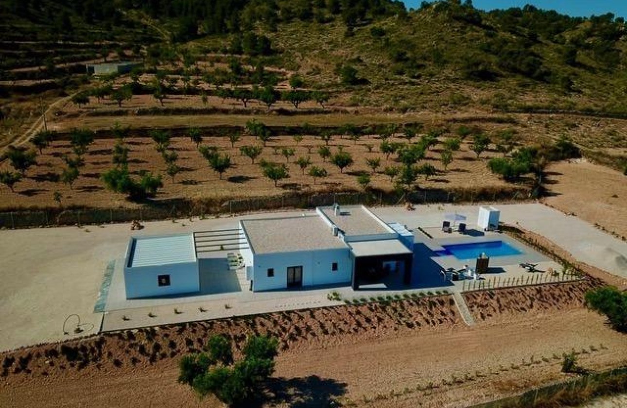 New Build - Villa - Jumilla