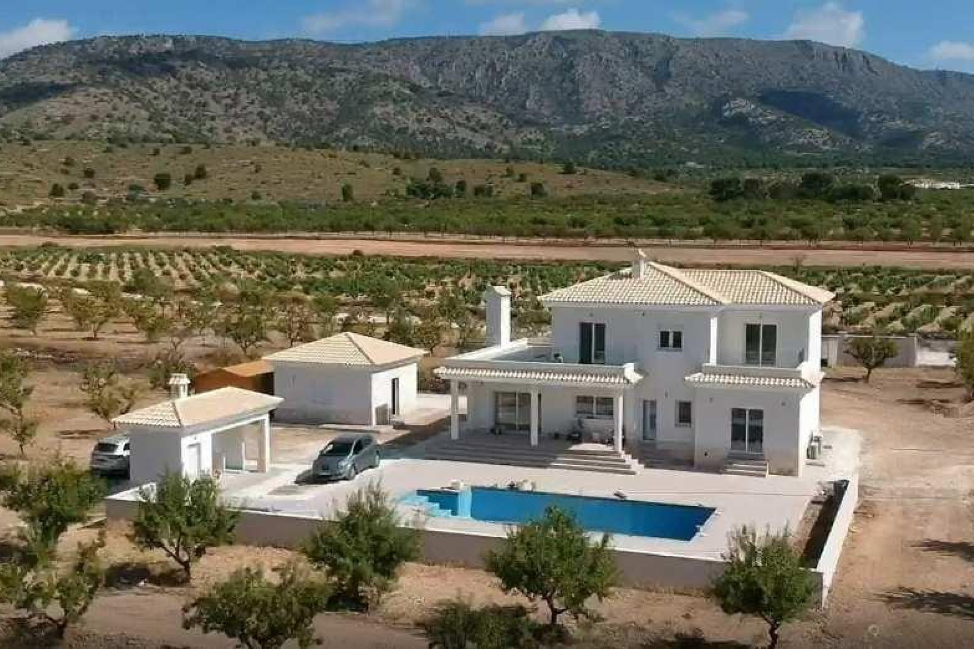 New Build - Villa - Pinoso - Camino Del Prado