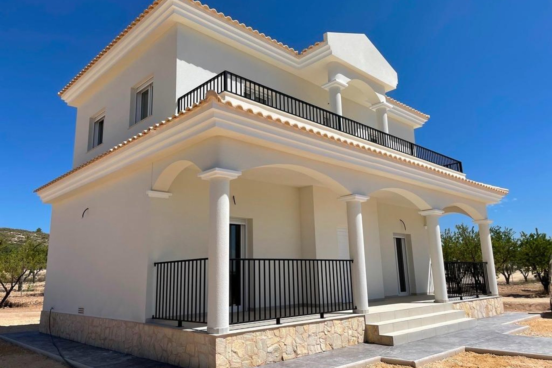 New Build - Villa - Pinoso