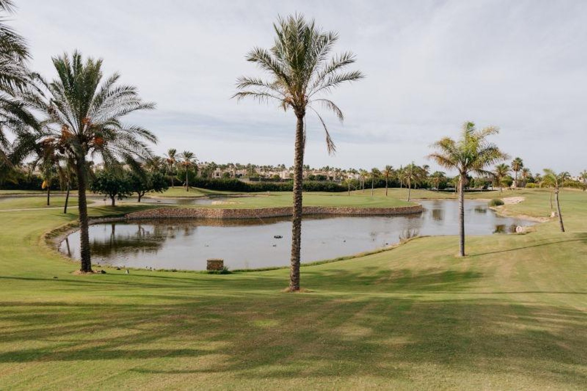 Nieuwbouw  - Halfvrijstaand Villa - San Javier