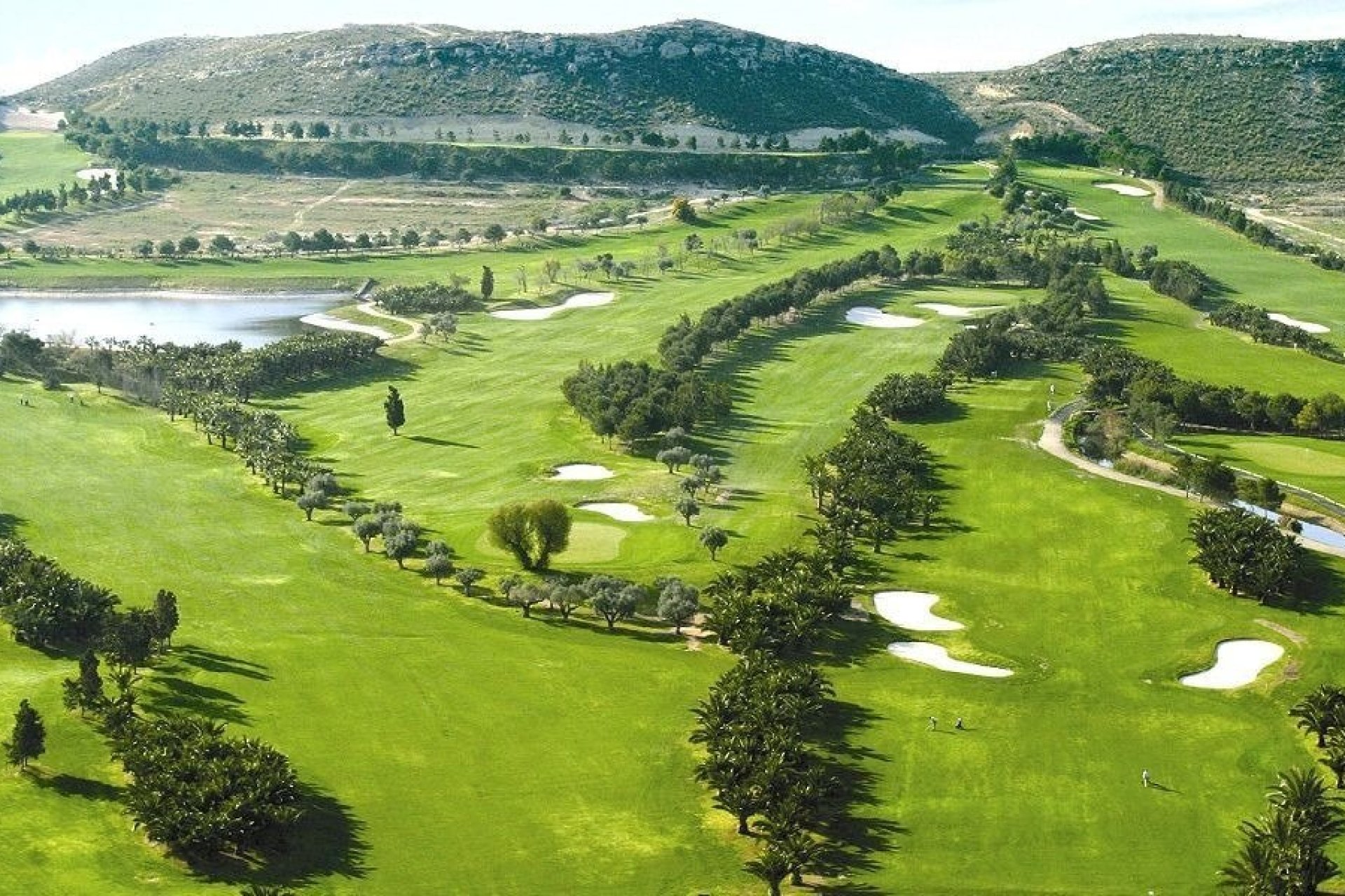 Nieuwbouw  - Villa - Baños y Mendigo - Altaona Golf