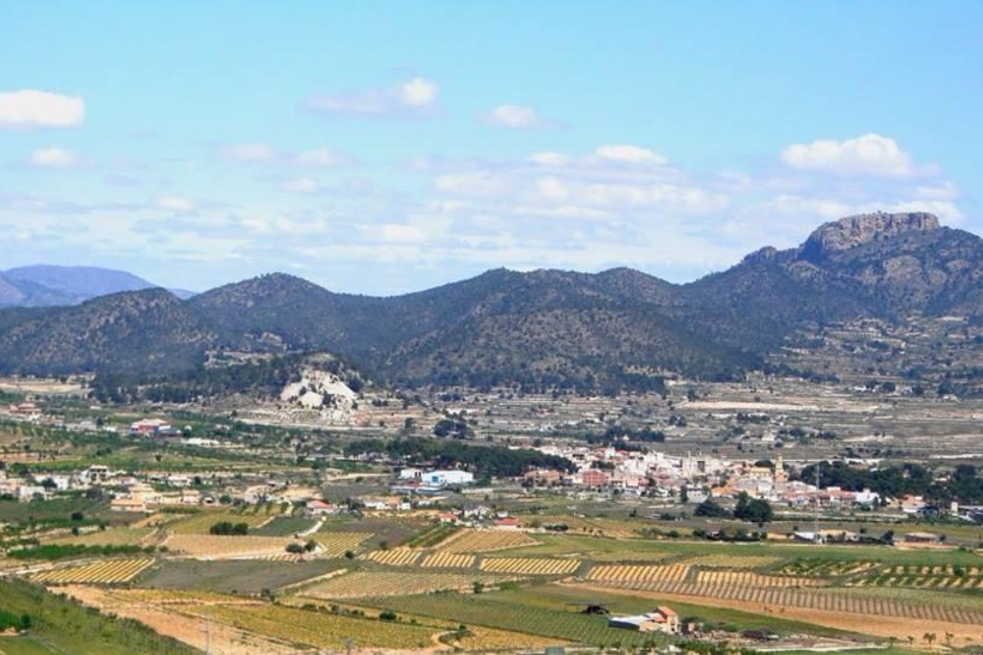 Nieuwbouw  - Villa - La Romana