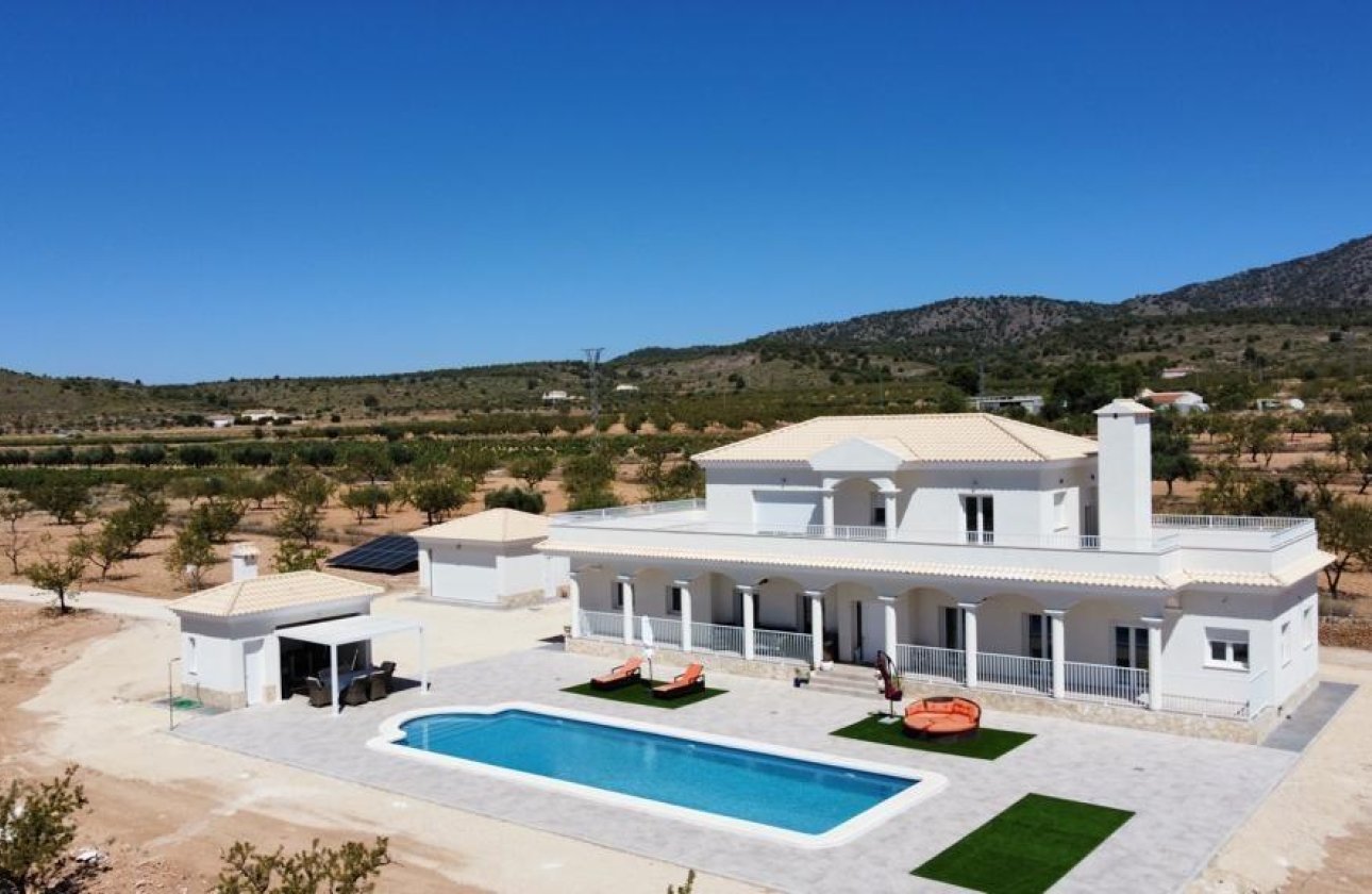 Nieuwbouw  - Villa - Pinoso - Camino Del Prado