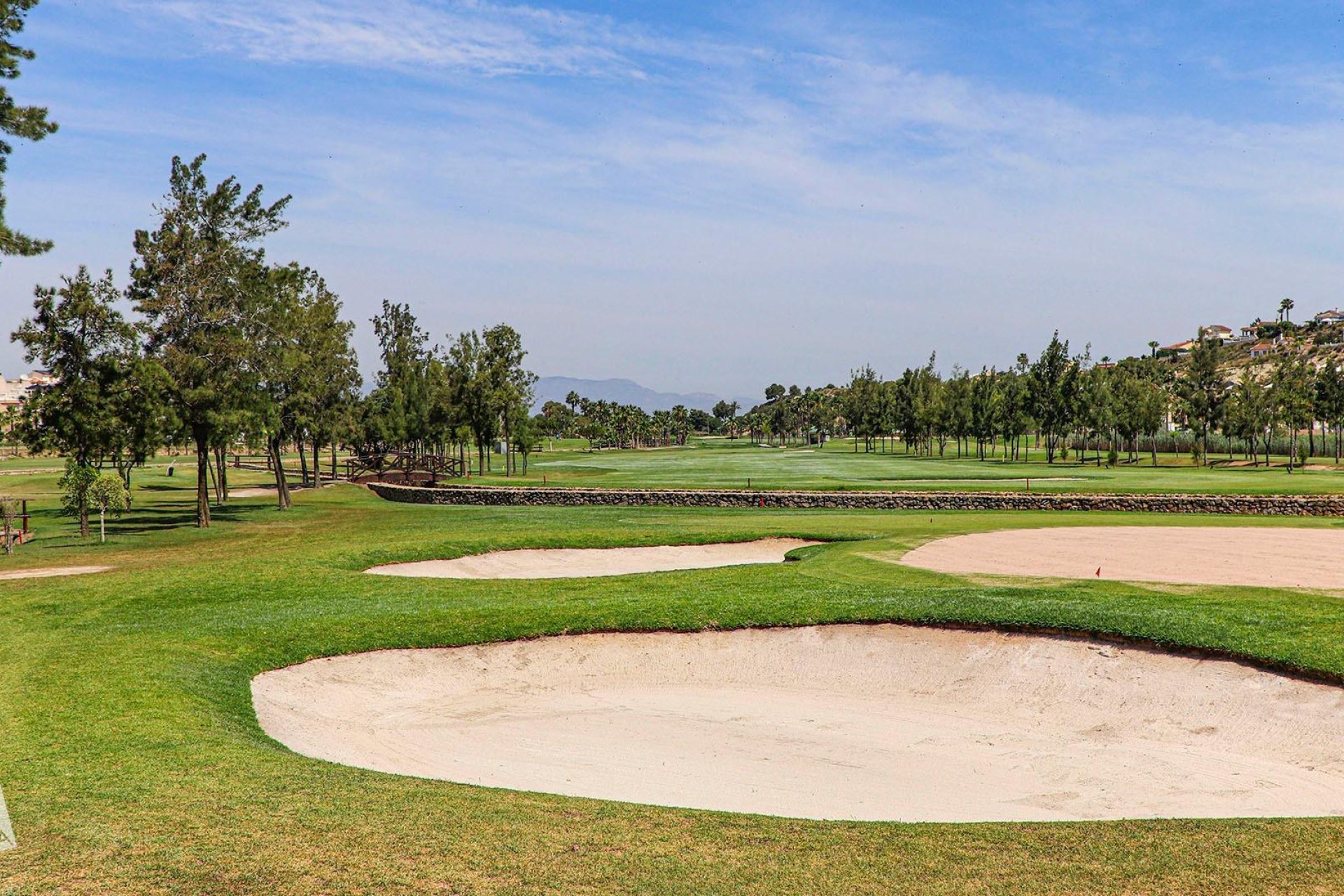 Nieuwbouw  - Villa - Rojales