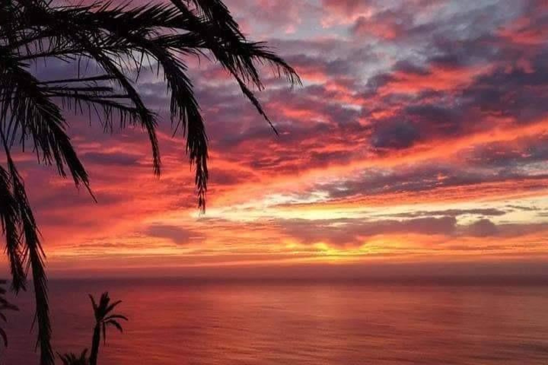 Nieuwbouw Woningen - Appartement  - Torrevieja