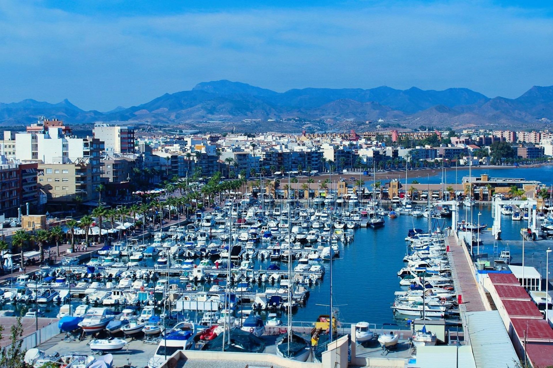 Nouvelle construction - Appartement - Fuente Álamo