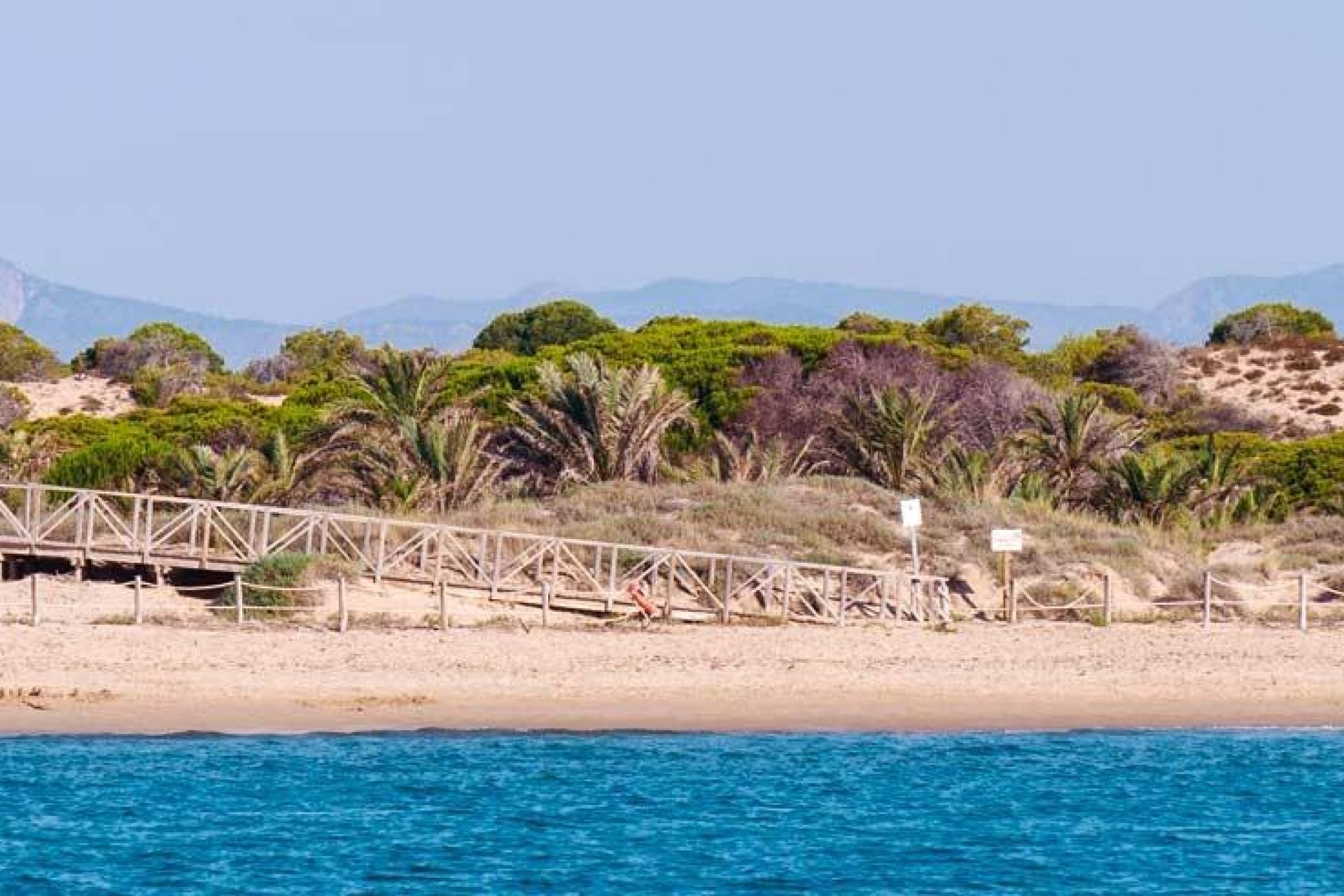 Nouvelle construction - Appartement - Guardamar del Segura