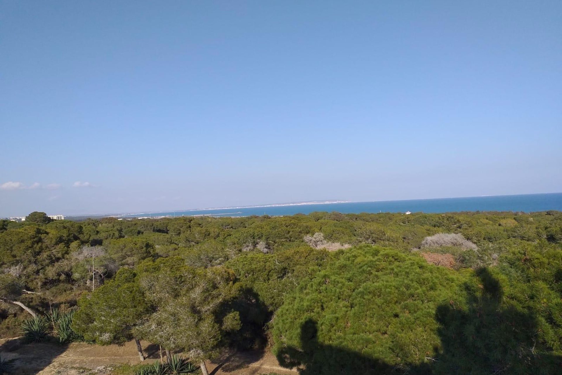 Nouvelle construction - Appartement - Guardamar del Segura