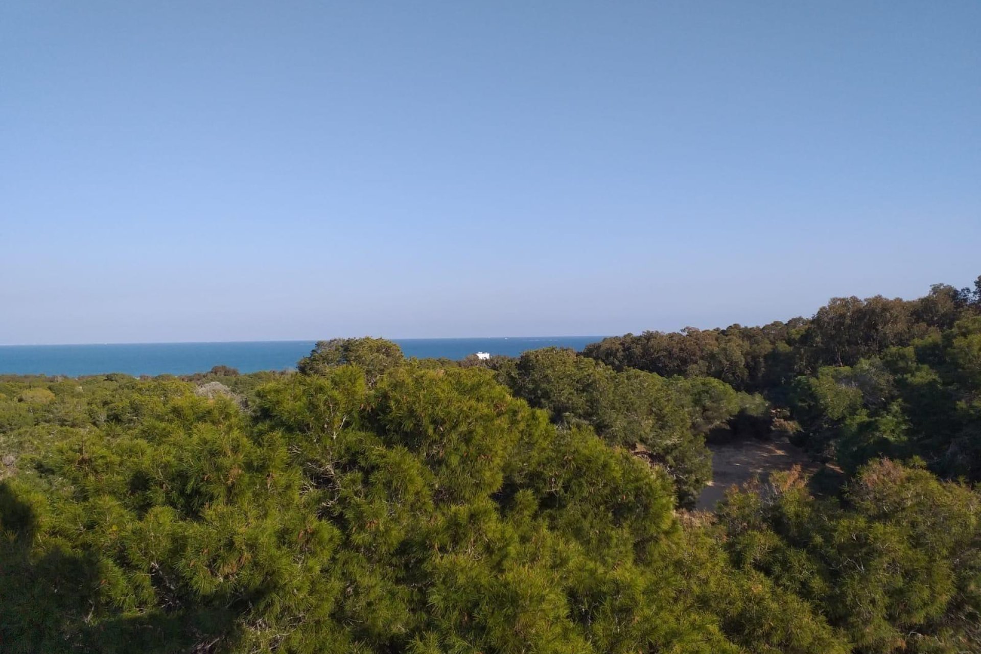 Nouvelle construction - Appartement - Guardamar del Segura