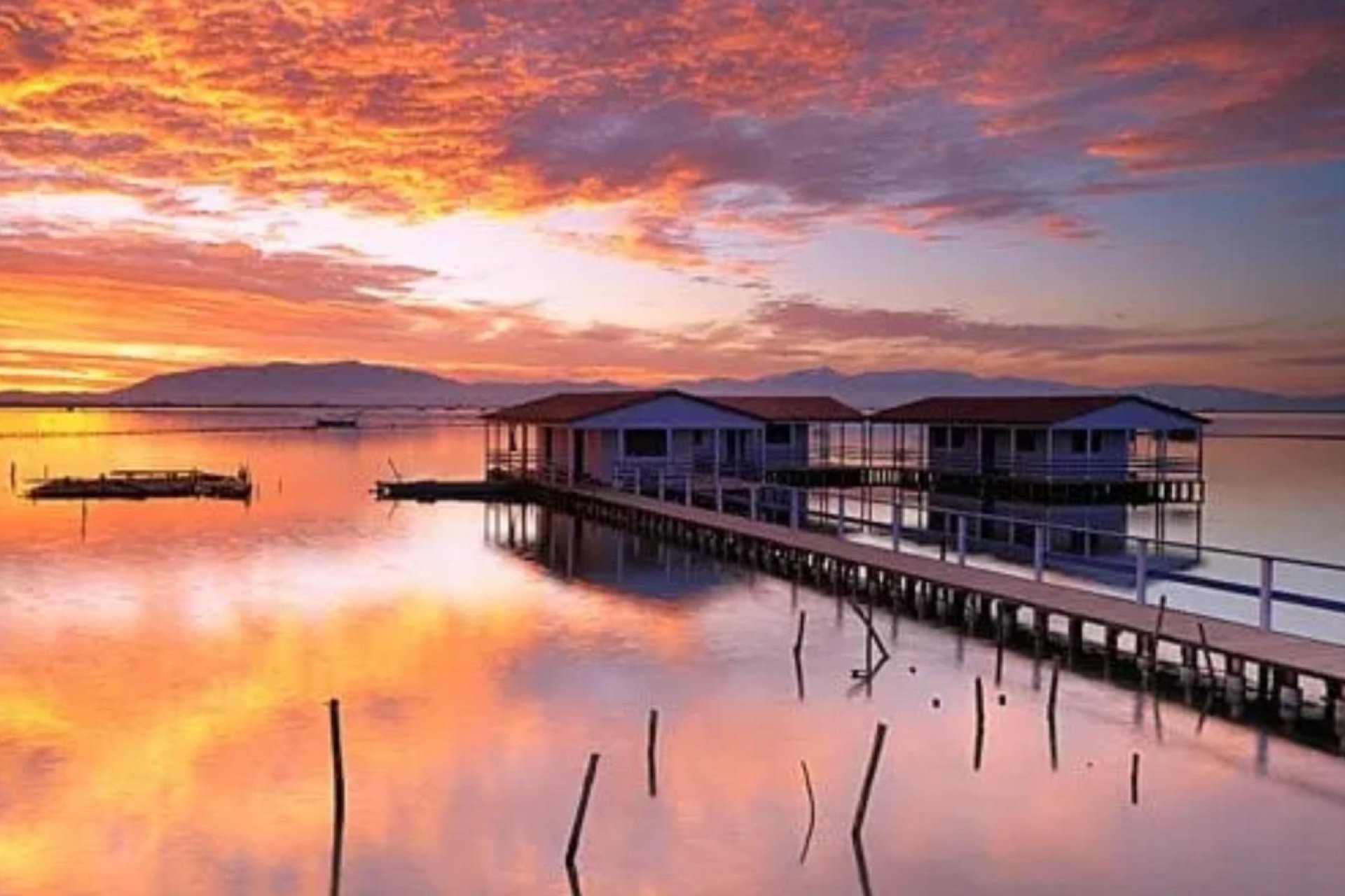 Nouvelle construction - Appartement - San Pedro del Pinatar