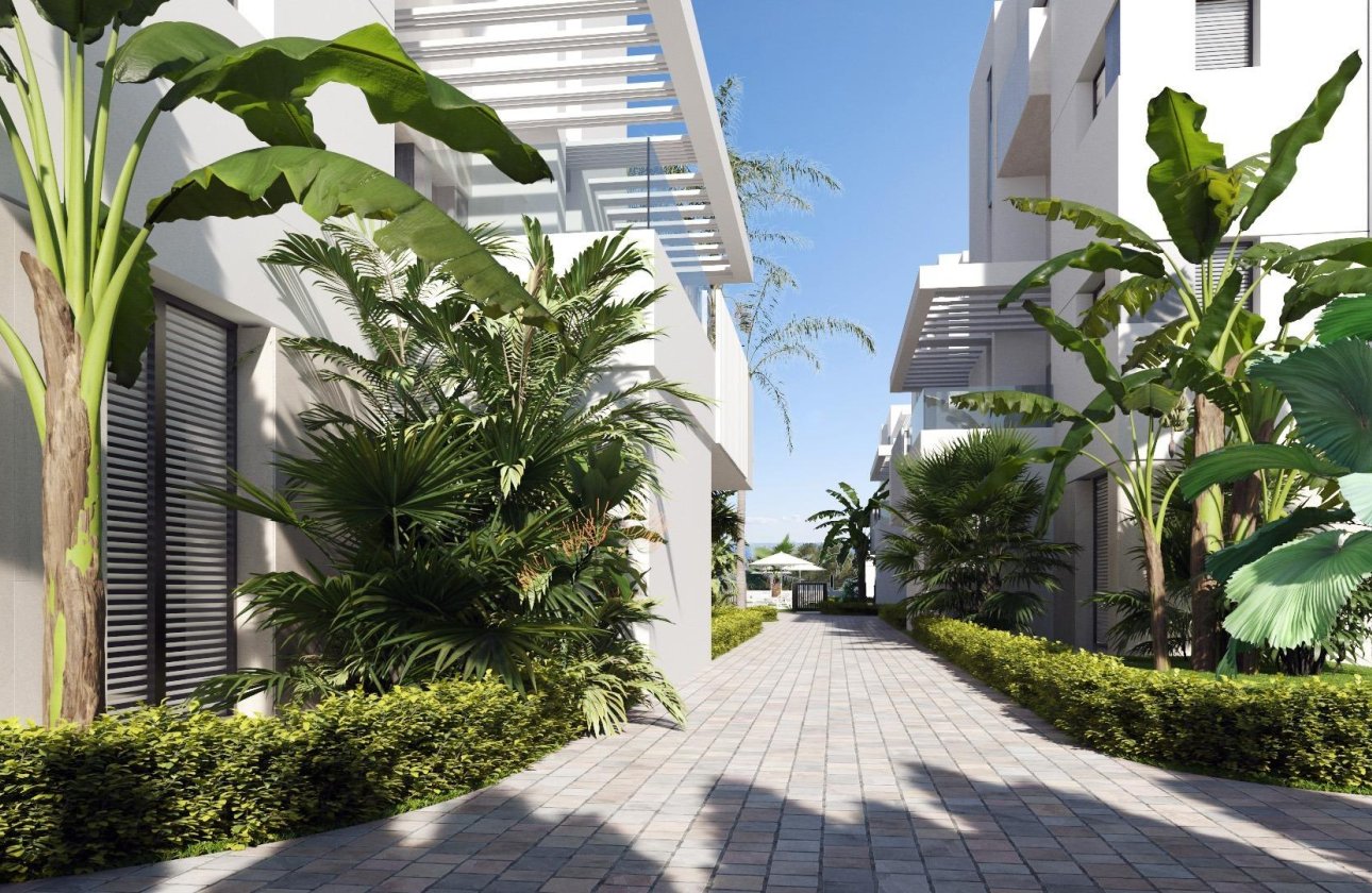 Nouvelle construction - Appartement - Torre Pacheco