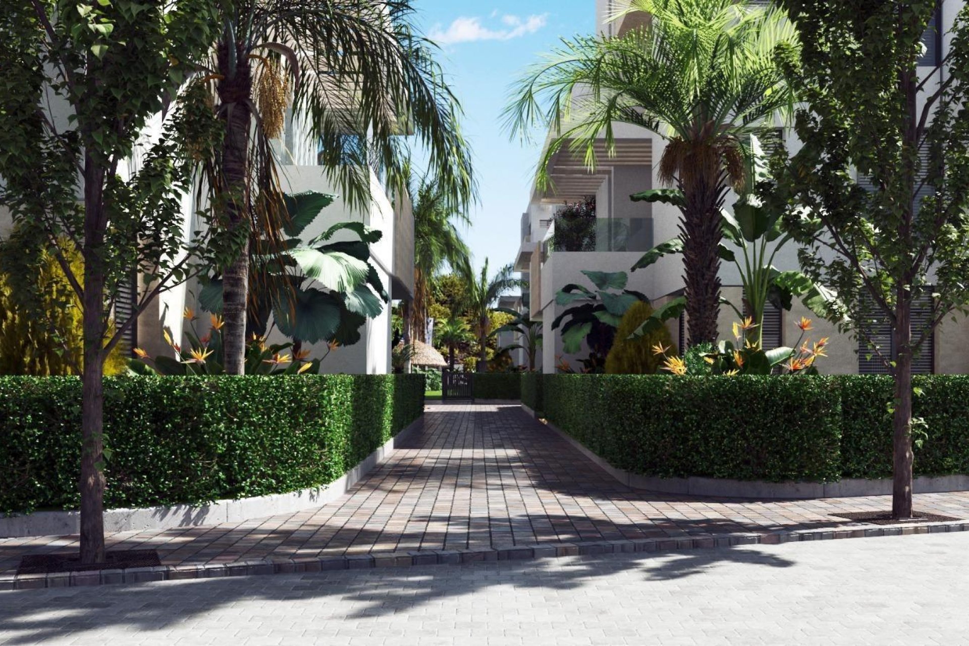 Nouvelle construction - Appartement - Torre Pacheco