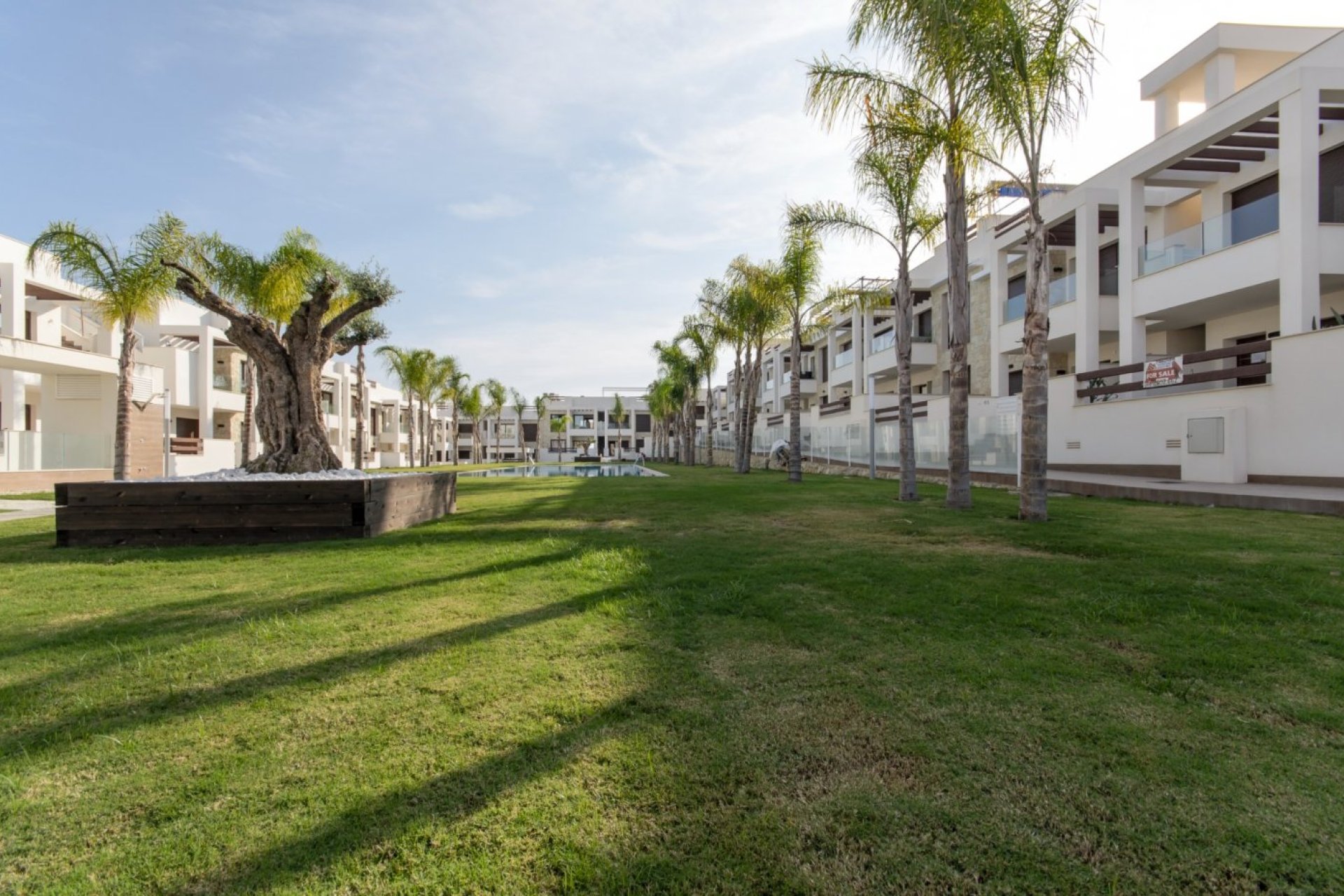 Nouvelle construction - Appartement - Torrevieja
