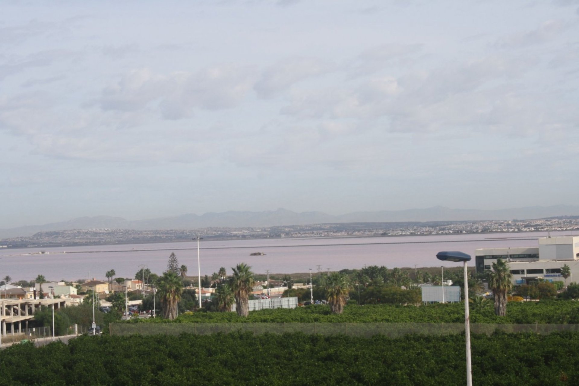 Nouvelle construction - Maison Jumelée - Torrevieja - Los Altos