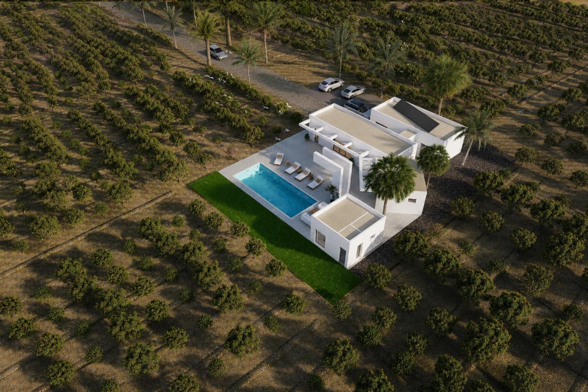 Nouvelle construction - Villa - Benejúzar - alta