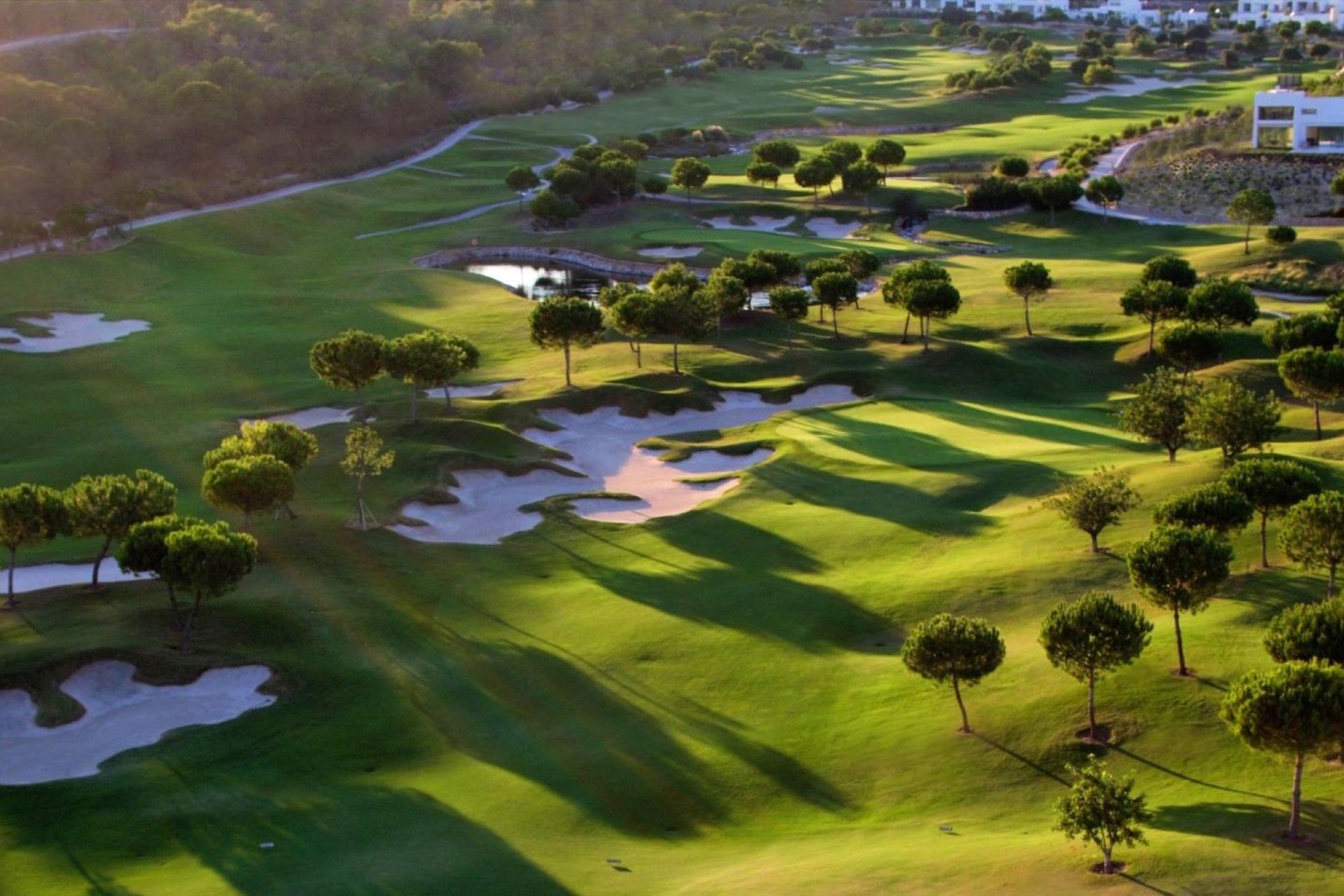 Nouvelle construction - Villa - Orihuela - Las Colinas Golf