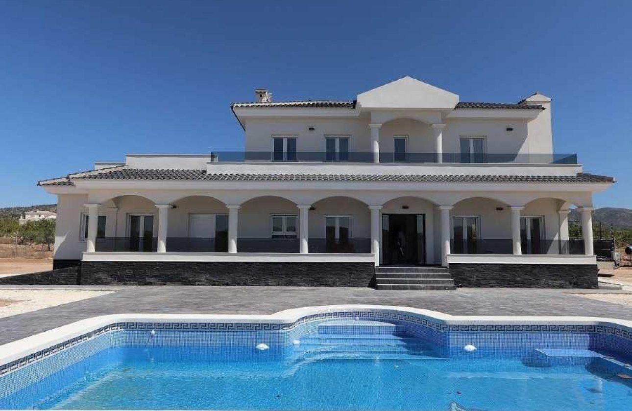Nouvelle construction - Villa - Pinoso - Camino Del Prado