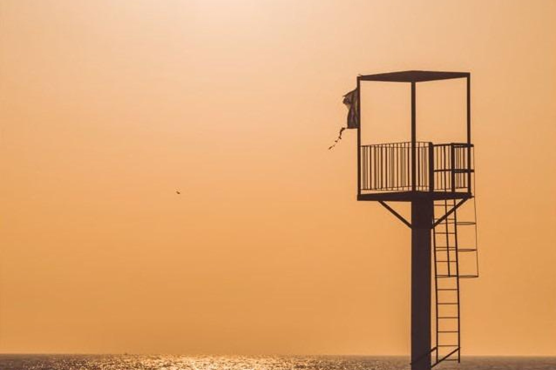 Новое здание - Квартира  - Almerimar