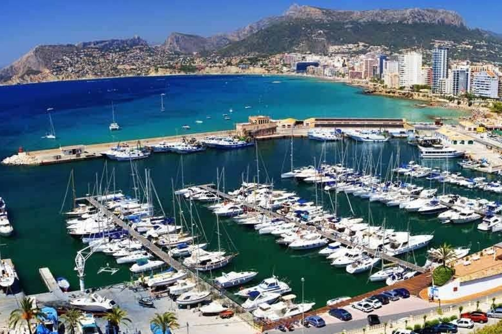 Новое здание - Квартира  - Calpe