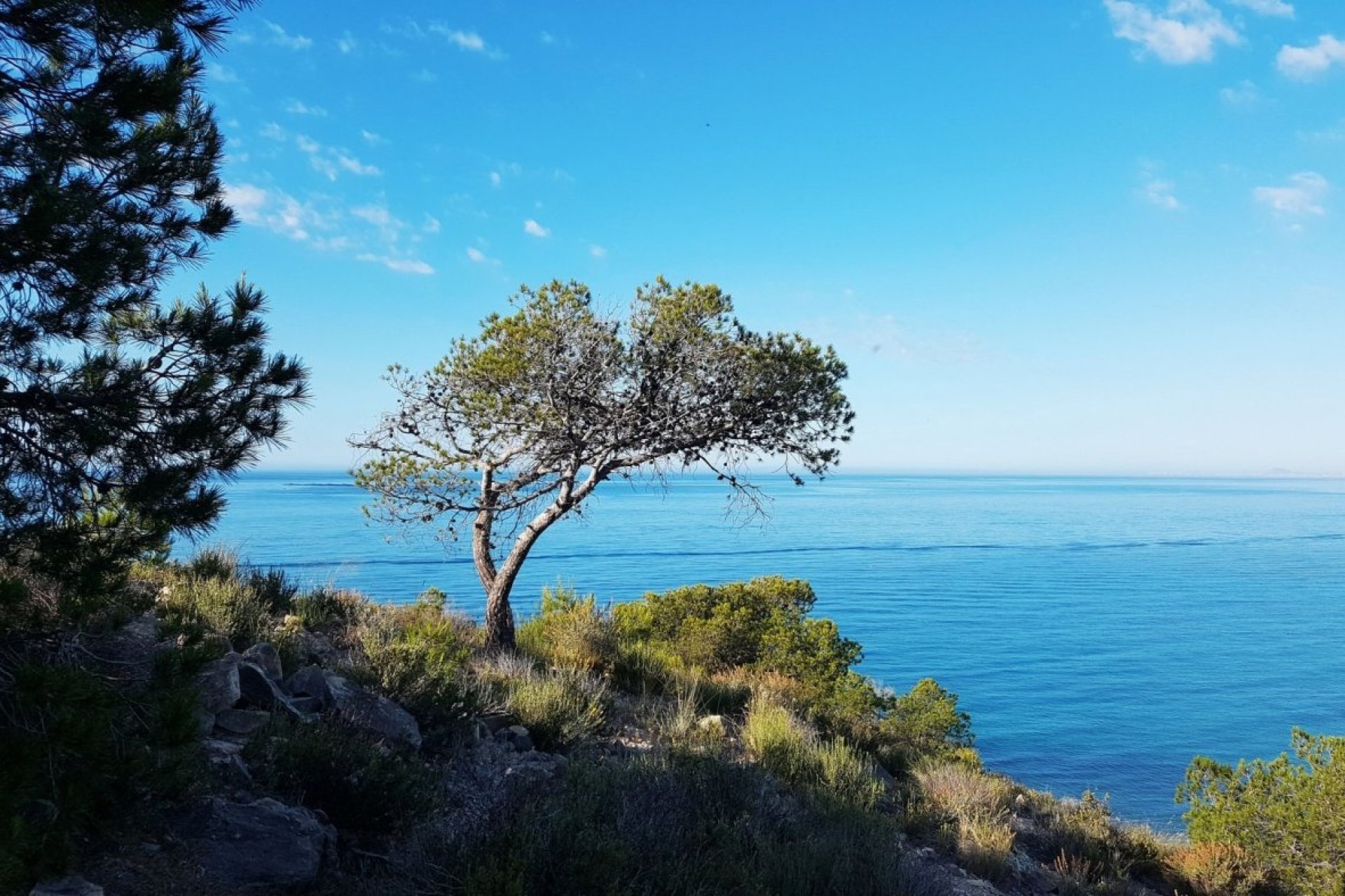 Новое здание - Квартира  - Villajoyosa
