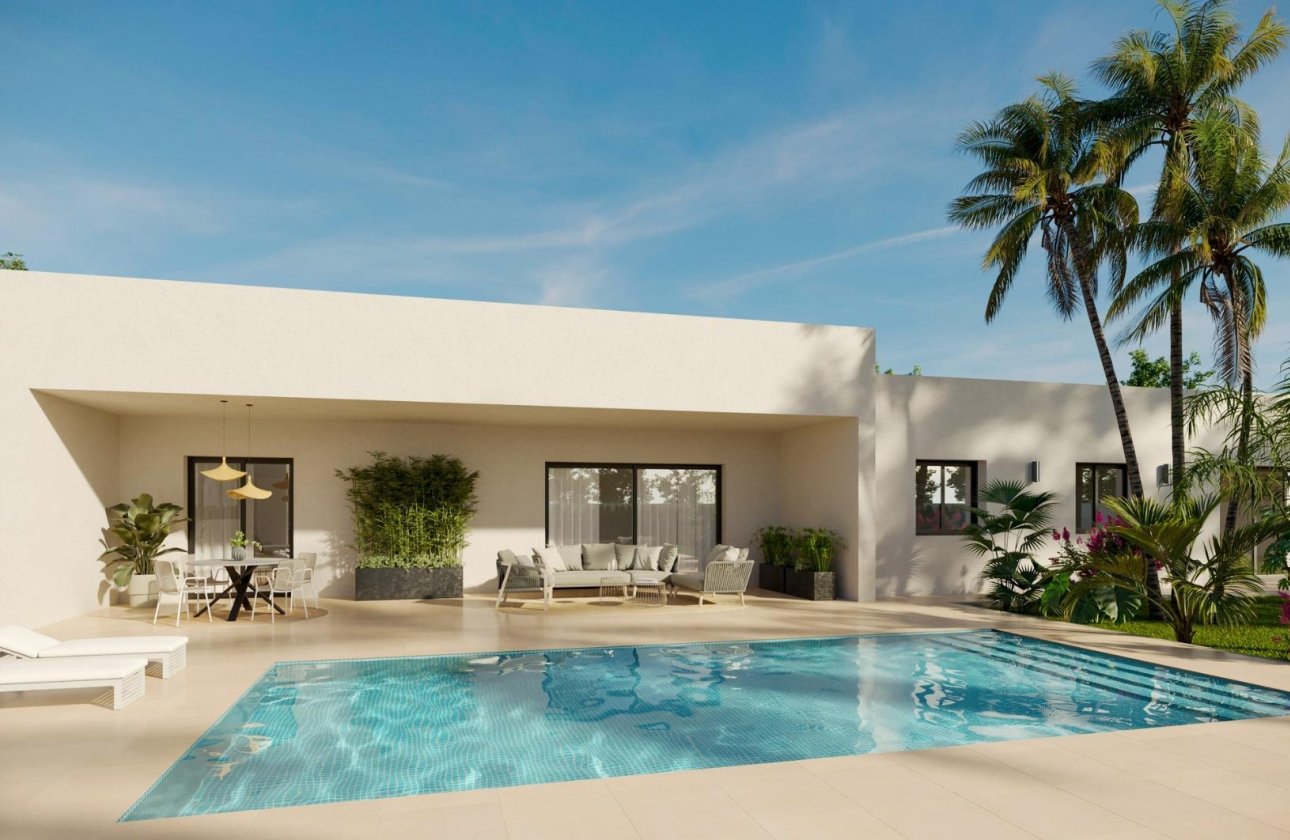 Новое здание - Villa - Aspe