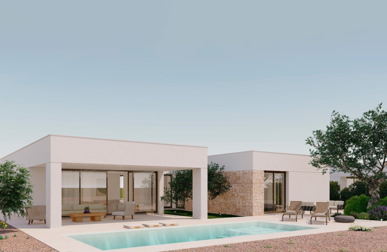 Новое здание - Villa - Fuente Álamo