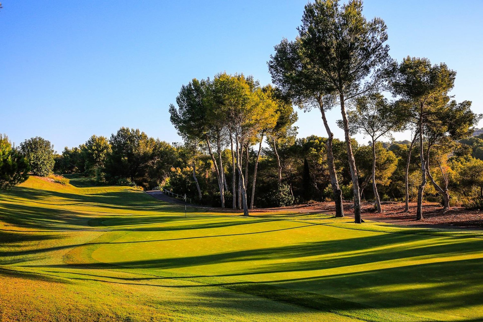 Новое здание - Villa - Orihuela - Las Colinas Golf